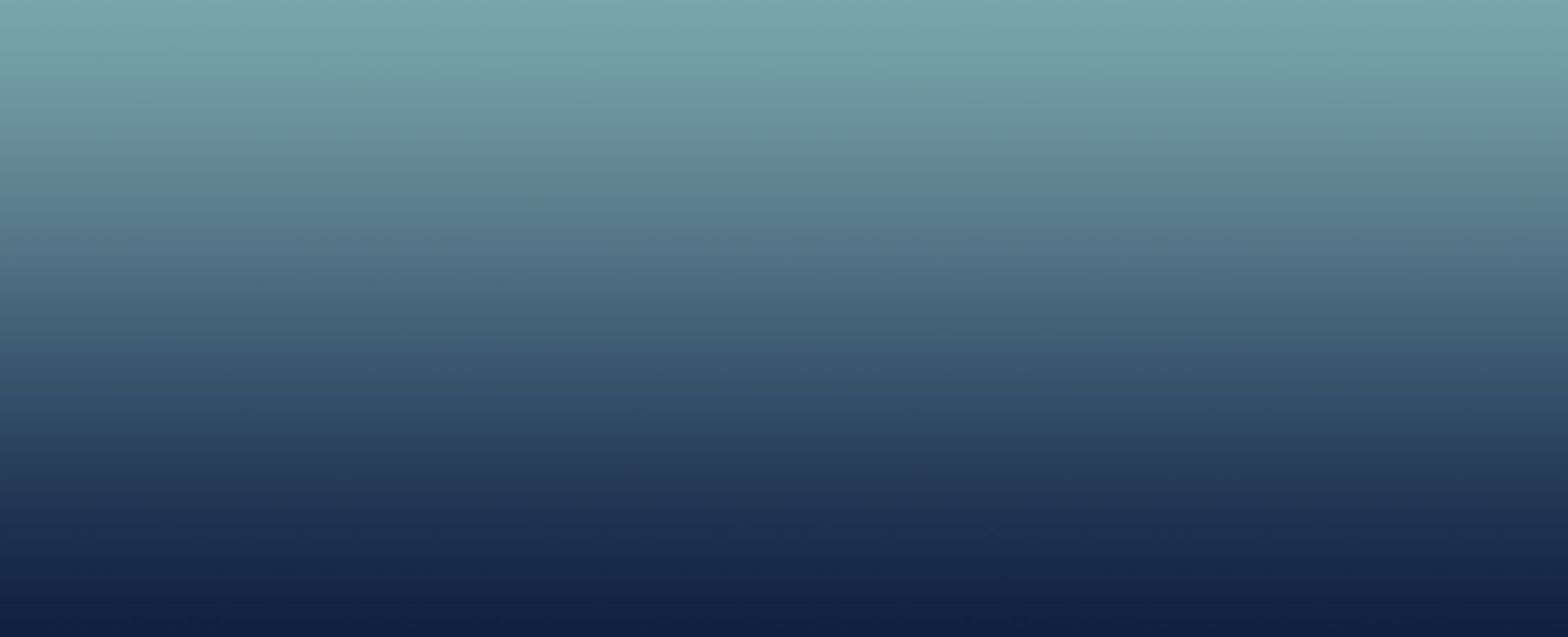 Polymer Sealant Background